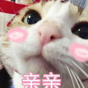 巨乳美女加光屁屁加无遮挡
